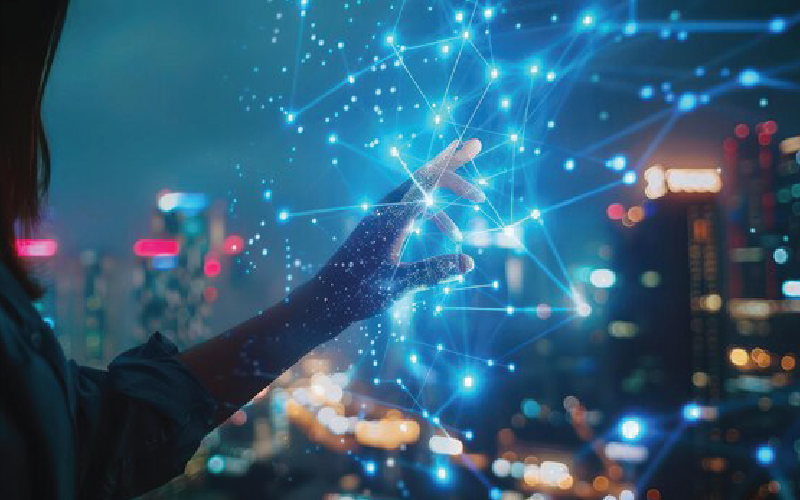 Government Network Solutions